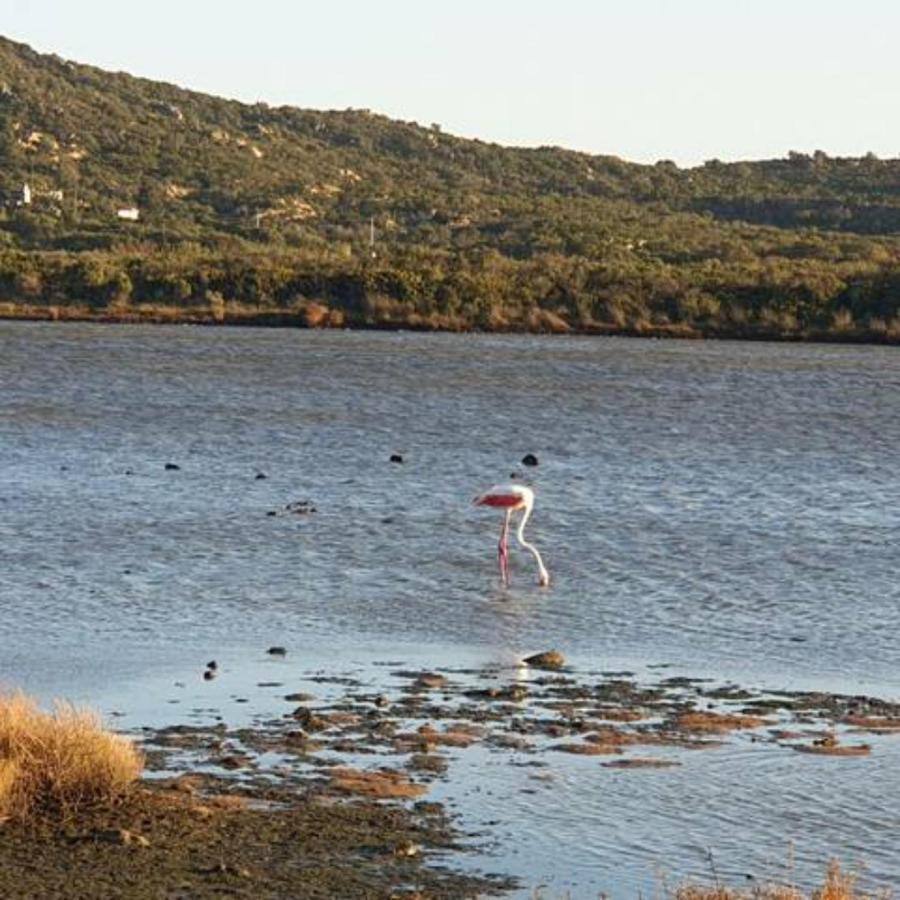 Appartamento Vasiliki Porto San Paolo  Exteriör bild