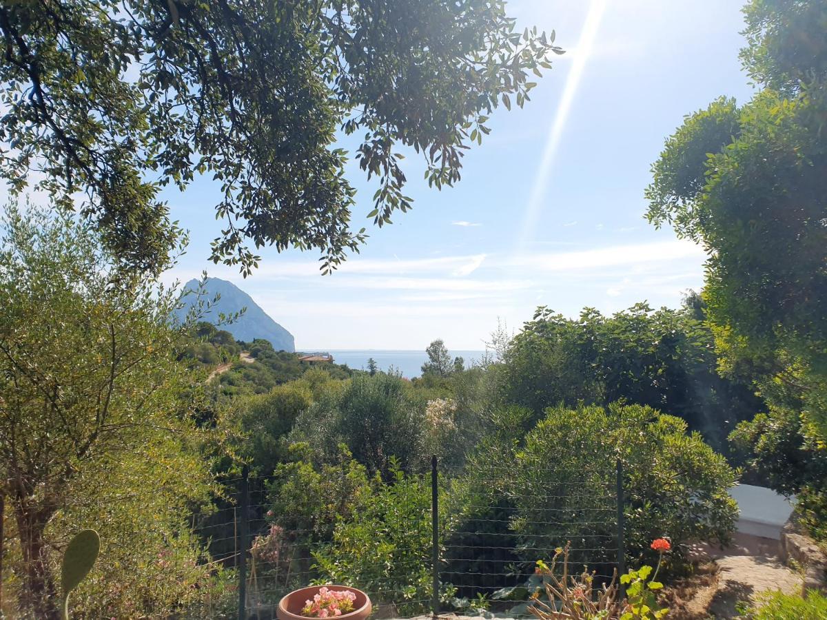 Appartamento Vasiliki Porto San Paolo  Exteriör bild