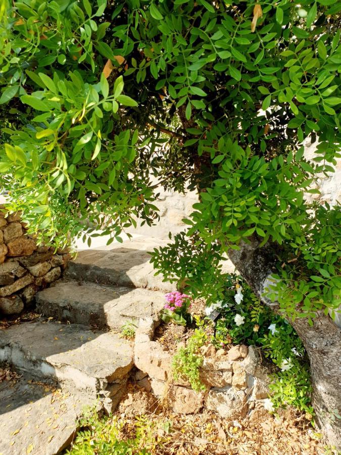 Appartamento Vasiliki Porto San Paolo  Exteriör bild